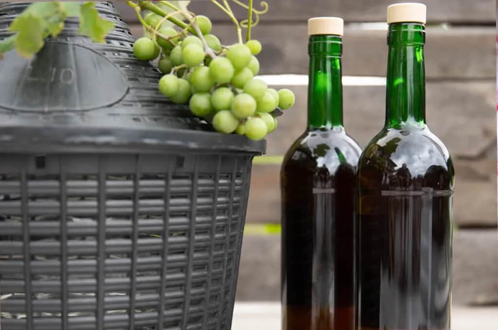 Jak zrobić wino z białego winogrona – proste kroki do smaku idealnego