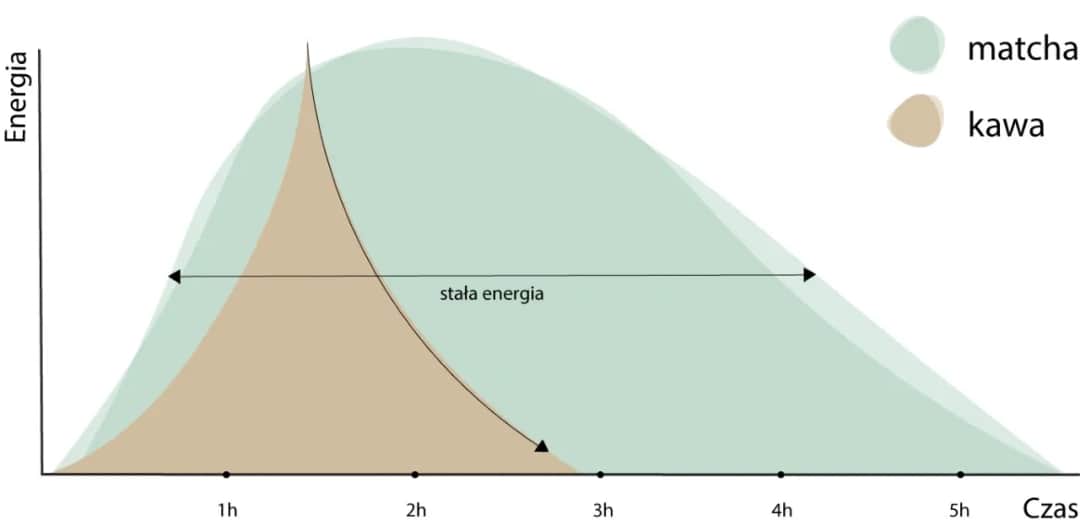 Co jest zdrowsze: kawa czy energetyk? Porównanie wpływu na zdrowie
